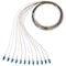 Panduit etKey 1-fiber OS2 LC to Pigtail, 900um Buffered Cable, 1 Meter (12-color NKFP91BN1NKM001 - alternate 2